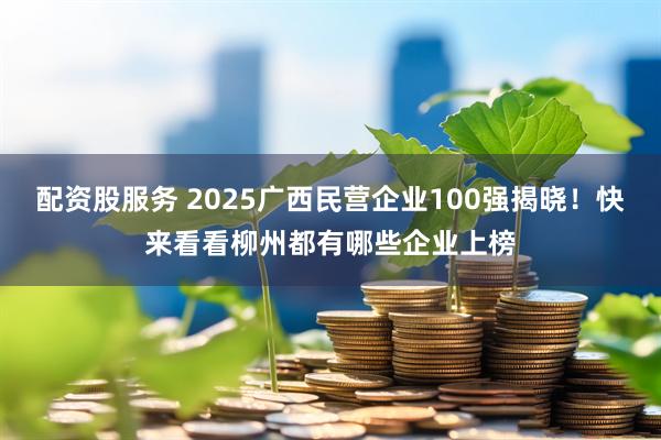 配资股服务 2025广西民营企业100强揭晓！快来看看柳州都有哪些企业上榜